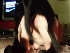 A dog drills a kinky woman as she's on the ground.